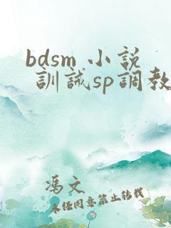 bdsm 小说 训诫sp调教