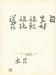 送姐姐生日什么花比较好