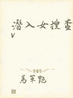 潜入女搜查官av