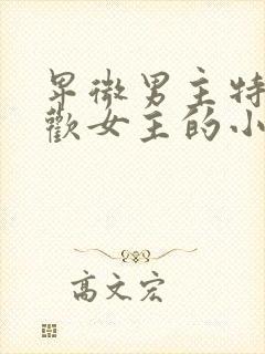 卑微男主特别喜欢女主的小说