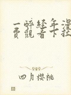 一醉经年漫画免费观看下拉式六漫画