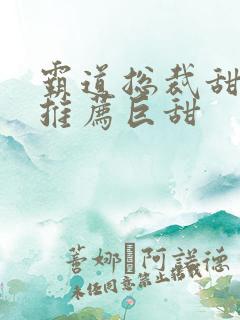 霸道总裁甜宠文推荐巨甜