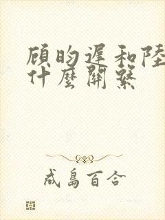 顾昀迟和陆赫扬什么关系