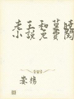 老王和莫晓晓的小说免费阅读