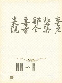 夫妻那些事在线观看全集免费播放电视剧