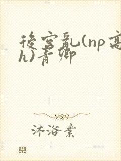 后宫乱(np高h)青卿