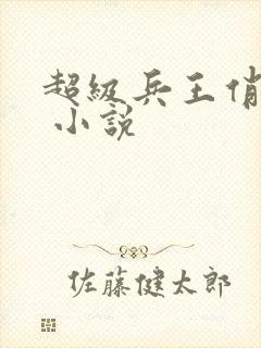 超级兵王俏总裁 小说