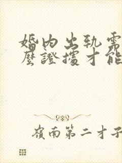 婚内出轨需要什么证据才能让对方净身出户