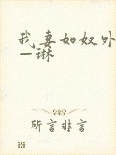 我妻如奴外传——琳