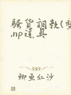 骚货调教(双性,np道具