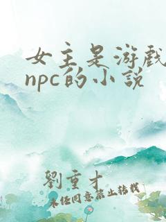 女主是游戏里的npc的小说