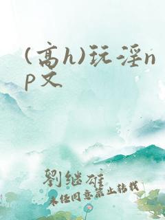 (高h)玩淫np文