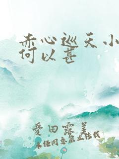 赤心巡天小说情何以甚