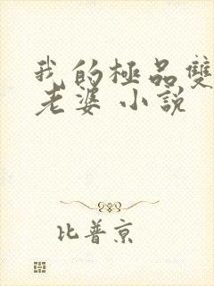 我的极品双胞胎老婆 小说