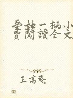 受她一柄小说免费阅读全文