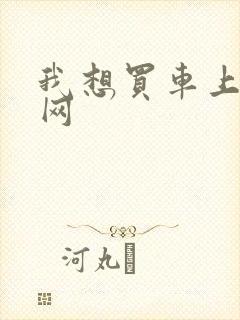 我想买车上什么网