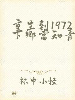 重生到1972下乡当知青的小说