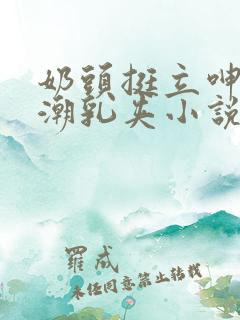 奶头挺立呻吟高潮乳夹小说