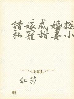 错嫁成婚总裁的私宠甜妻小说