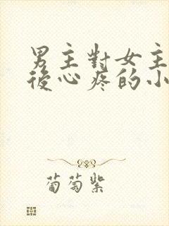 男主对女主用刑后心疼的小说