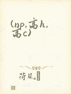 (np,高h,高c)