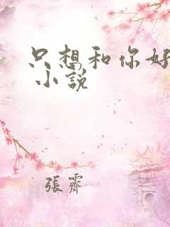 只想和你好好的 小说