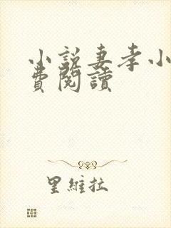 小说妻孝小说免费阅读