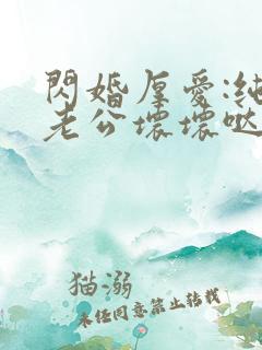 闪婚厚爱:纯禽老公坏坏哒