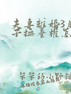 夫妻离婚3岁孩子抚养权怎么判定