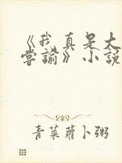 《我真是大明星尝谕》小说