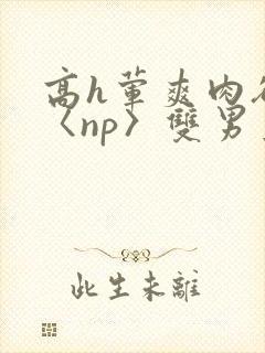 高h荤爽肉欲文〈np〉双男主