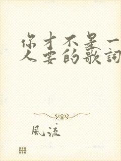 你才不是一个没人要的歌词