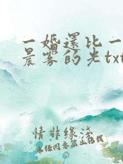 一婚还比一婚高晨雾的光txt