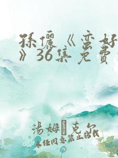 孙俪《蛮好人生》36集免费观看