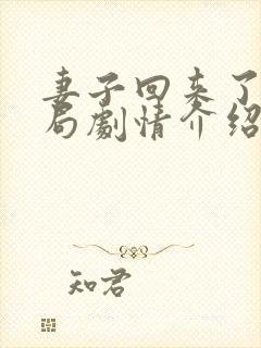 妻子回来了大结局剧情介绍