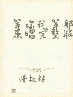 等你我等那么久原唱完整版歌词