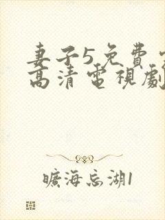 妻子5免费完整高清电视剧在线看韩剧