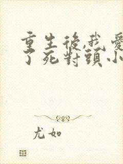 重生后,我爱上了死对头小说txt