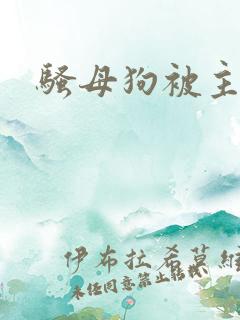 骚母狗被主人操