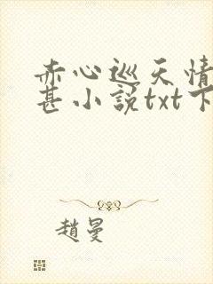 赤心巡天情何以甚小说txt下载