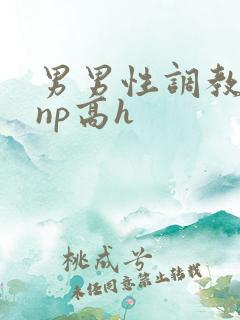男男性调教小说np高h