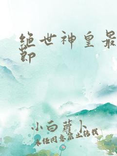 绝世神皇最近章节