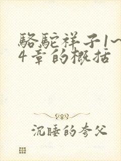 骆驼祥子1~24章的概括