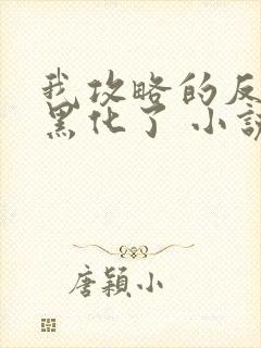 我攻略的反派都黑化了 小说