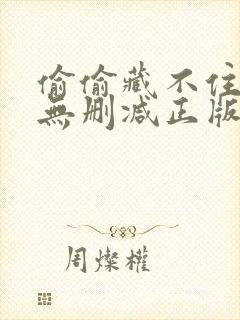 偷偷藏不住小说无删减正版在线阅读