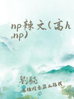 np辣文(高h,np)