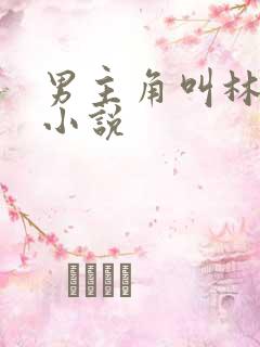 男主角叫林寒的小说