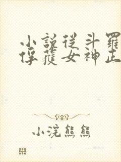 小说从斗罗开始俘获女神正版