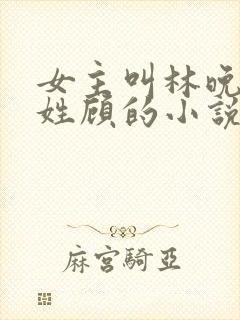 女主叫林晚男主姓顾的小说