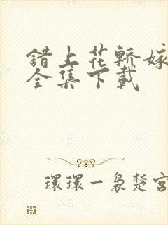 错上花轿嫁王爷全集下载